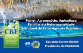 Painel: Agronegócio, Agricultura Familiar e a Heterogeneidade Estrutural do Setor Agrícola Brasileiro Eduardo Correa Riedel Presidente da FAMASUL.