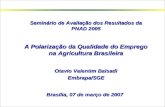 Seminário de Avaliação dos Resultados da PNAD 2005 A Polarização da Qualidade do Emprego na Agricultura Brasileira Otavio Valentim Balsadi Embrapa/SGE.