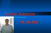 André Amorim PL 22.222. Perfil e Formação Ex-aluno Faap, 28 anos, graduado em administração de empresas e pós- graduado em formação de governantes pela.