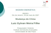 MADEIRA ENERGÉTICA BNDES Rio de Janeiro, 29 de maio de 2007 Mudança do Clima Luiz Gylvan Meira Filho Pesquisador Visitante Instituto de Estudos Avançados.