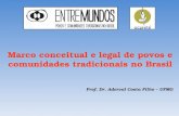 Marco conceitual e legal de povos e comunidades tradicionais no Brasil Prof. Dr. Aderval Costa Filho – UFMG.