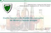 Custo Social e de Saúde do consumo de álcool e outras drogas UNIFESP (Univ. Federal de São Paulo) UNIAD (Unidade de Pesquisa em Álcool e Drogas) Neliana.