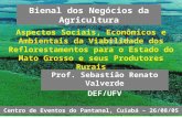Aspectos Sociais, Econômicos e Ambientais da Viabilidade dos Reflorestamentos para o Estado do Mato Grosso e seus Produtores Rurais Prof. Sebastião Renato.