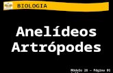 BIOLOGIA Anelídeos Artrópodes Módulo 26 – Página 01 à 10.
