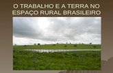 O TRABALHO E A TERRA NO ESPAÇO RURAL BRASILEIRO. Apesar do Brasil possuir dimensões continentais o espaço rural brasileiro é subaproveitado. Isto é devido.