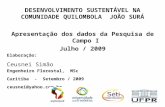 DESENVOLVIMENTO SUSTENTÁVEL NA COMUNIDADE QUILOMBOLA JOÃO SURÁ Apresentação dos dados da Pesquisa de Campo I Julho / 2009 Elaboração: Ceusnei Simão Engenheiro.