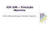 IOF-246 – Poluição Marinha Profs. Márcia Bícego e Rubens Figueira.
