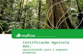 Certificação Agrícola RAS: oportunidade para o pequeno produtor Tharic Galuchi.