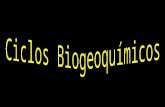 Ciclo Biogeoquímico: é a permuta cíclica de elementos químicos que ocorre entre os seres vivos e o ambiente. Tais ciclos envolvem etapas biológicas, físicas.
