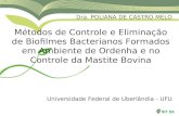 Dra. POLIANA DE CASTRO MELO Métodos de Controle e Eliminação de Biofilmes Bacterianos Formados em Ambiente de Ordenha e no Controle da Mastite Bovina Universidade.