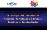 Os Avanços dos Sistemas de Garantia de Crédito no Brasil: Desafios e Oportunidades Carlos Alberto dos Santos XIV FÓRUM IBERO AMERICANO SISTEMAS DE GARANTIA.