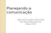 Planejando a comunicação LAB. Comunicação Institucional MS. Rosane Steinbrenner Março 2010.