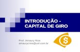 INTRODUÇÃO - CAPITAL DE GIRO Prof. Amaury Rios amaurycrios@uol.com.br.