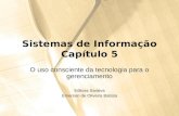 Sistemas de Informação Capítulo 5 O uso consciente da tecnologia para o gerenciamento Editora Saraiva Emerson de Oliveira Batista.