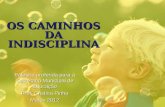 OS CAMINHOS DA INDISCIPLINA Palestra proferida para a Secretaria Municipal de Educação Prof. Cristina Pinho Março 2012.