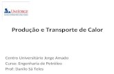 Produção e Transporte de Calor Centro Universitário Jorge Amado Curso: Engenharia de Petróleo Prof: Danilo Sá Teles.
