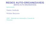 REDES AUTO-ORGANIZAVEIS (MAPAS AUTO-ORGANIZÁVEIS) Apresentação: James Andrade Walter Borysow IFSP – Mestrado em Automação e Controle de Processos.