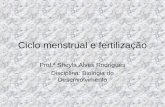 Ciclo menstrual e fertilização Prof.ª Sheyla Alves Rodrigues Disciplina: Biologia do Desenvolvimento.