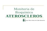 Monitoria de Bioquímica ATEROSCLEROSE Professor Nilo César do Vale Baracho.