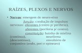 RAÍZES, PLEXOS E NERVOS Nervos: emergem do neuro-eixo função: condução de impulsos nervosos: eferentes (centro p/ periferia), aferentes (periferia p