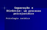 Separação e Divórcio: um processo psicojurídico Psicologia Jurídica.