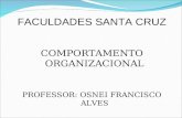 COMPORTAMENTO ORGANIZACIONAL PROFESSOR: OSNEI FRANCISCO ALVES FACULDADES SANTA CRUZ.