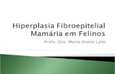 Profa. Dra. Maria Anete Lallo. Sinonímia: hiperplasia fibroadenomatosa hipertrofia mamária felina adenofibrona ou fibroadenoma fibroadenomatose É uma.