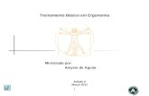 1 Treinamento Básico em Ergonomia Ministrado por: Edição 2 Março 2011 Aloysio de Aguiar.
