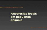 Anestesias locais em pequenos animais. Anestesia Local Por infiltração Biópsias Remoção pnos quistos Caudectomias.