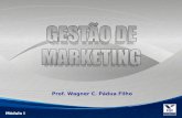 Prof. Wagner C. Pádua Filho Módulo I. Gestão de Marketing como Ferramenta Competitiva no Mutante Ambiente de Negócios. Desenvolvimento da Proposta de.