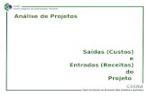Análise de Projetos Saídas (Custos) e Entradas (Receitas) do Projeto.