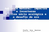 Ambiente Natural: Impactos e Incertezas A crise sócio ecológica e o desafio do eco desenvolvimento Profa. Dra. Denise Pereira Curi.