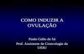 COMO INDUZIR A OVULAÇÃO Paulo Gallo de Sá Prof. Assistente de Ginecologia da UERJ.