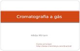 Hêda Míriam Cromatografia a gás Fonte principal: