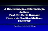 A Determinação e Diferenciação do Sexo Prof. Dr. Decio Brunoni Centro de Genética Médica - UNIFESP Agradecimento: Profa.Dra.M.I. Melaragno.