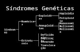 Síndromes Genéticas Síndromes Numéricas Estruturais Euploidias Aneuploidias Deficiência Monossomia Duplicação Inversão Translocação Nulissomia Polissomia.