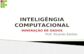 INTELIGÊNGIA COMPUTACIONAL MINERAÇÃO DE DADOS Prof. Ricardo Santos.