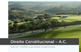 Direito Constitucional – A.C. Aula 01 - Direitos e garantias fundamentais.