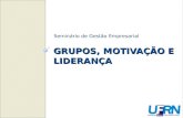 GRUPOS, MOTIVAÇÃO E LIDERANÇA Seminário de Gestão Empresarial.