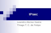 IPsec Leandro Alonso Xastre Thiago T. C. de Felipo.