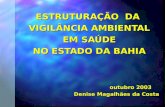 ESTRUTURAÇÃO DA VIGILÂNCIA AMBIENTAL EM SAÚDE NO ESTADO DA BAHIA outubro 2003 Denise Magalhães da Costa.