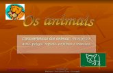 BELEM RUIZ ORDUÑA Tradução de: Professor Vaz Nunes (Ovar – Portugal) Características dos animais: mamíferos, aves, peixes, répteis, anfíbios e insectos.