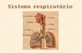 Sistema respiratório. Função do sistema respiratório: Retirar o oxigênio do ambiente e eliminar o gás carbônico. Tipos de respiração Respiração orgânica.