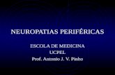 NEUROPATIAS PERIFÉRICAS ESCOLA DE MEDICINA UCPEL Prof. Antonio J. V. Pinho.