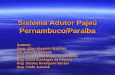 Sistema Adutor Pajeú Pernambuco/Paraíba Autores: Enga. Elisa Monteiro Malafaia Lic. Marcelo Ensinck Eng. Marcelo Eustaquio de Carvalho Eng. Silvio Domingos.