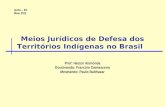 Meios Jurídicos de Defesa dos Territórios Indígenas no Brasil Prof: Hector Alimonda Doutoranda: Francine Damasceno Mestrando: Paulo Balthazar Quito – EC.