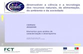 CERNAS 2004/2005 Elementos para análise de caracterização e desempenho Henrique Pires dos Santos, 2006 Bolseiro de Gestão de Ciência e Tecnologia CERNAS.