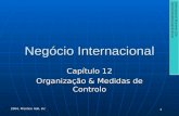 Negócio Internacional Capítulo 12 Organização & Medidas de Controlo International Business 10e Daniels/Radebaugh/Sullivan 2004, Prentice Hall, Inc 1.
