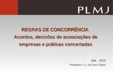 REGRAS DE CONCORRÊNCIA Acordos, decisões de associações de empresas e práticas concertadas UNL - 2010 Professor J. L. da Cruz Vilaça.