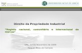 1 Direito da Propriedade Industrial Registo nacional, comunitário e internacional de marcas" UNL, 19 de Novembro de 2009 Raquel Mota de Campos.
